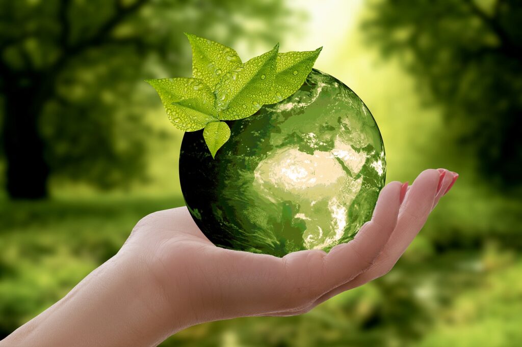 eco-délégué