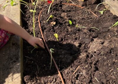 Plantations en maternelle