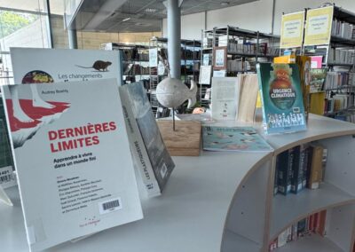 Sélection du CDI sur le Développement Durable