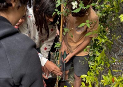 Atelier végétalisation