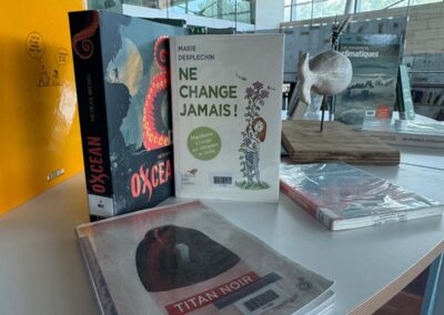 Sélection du CDI sur le Développement Durable